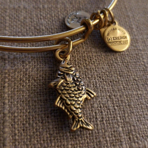 Alex and Ani | Jewelry | Alex And Ani Gold Fish Bangle | Poshmark